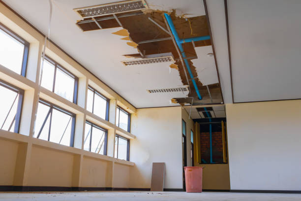 Best Flooded house restoration  in Schoolcraft, MI
