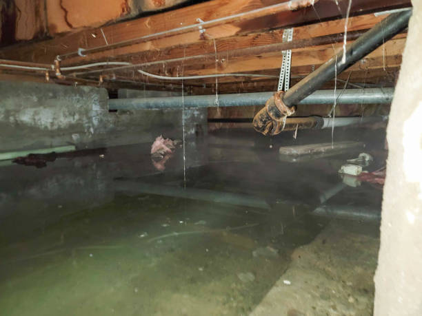 Best Residential water damage restoration  in Schoolcraft, MI