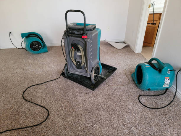 Best Carpet water damage restoration  in Schoolcraft, MI