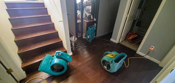 Best Basement water damage restoration  in Schoolcraft, MI