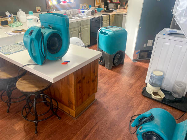 Sewage cleanup and water damage restoration in Schoolcraft, MI