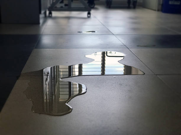 Best Water damage restoration near me  in Schoolcraft, MI