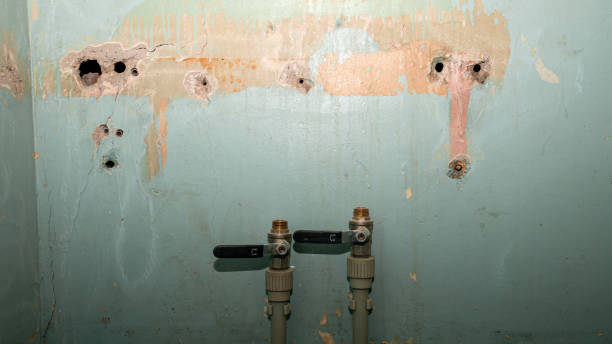 Best Flood restoration services  in Schoolcraft, MI