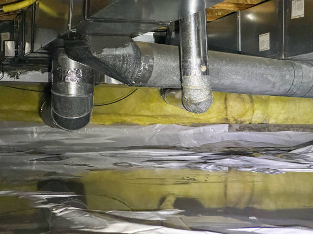 Best Water damage contractors near me  in Schoolcraft, MI