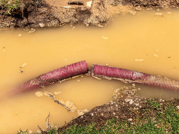Professional Water damage restoration in Schoolcraft, MI