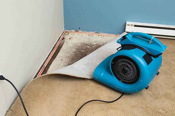 Best 24/7 water damage repair  in Schoolcraft, MI